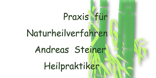 Andreas Steiner