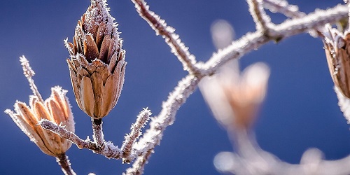 Urlaub im Winter in D-A-CH und Südtirol